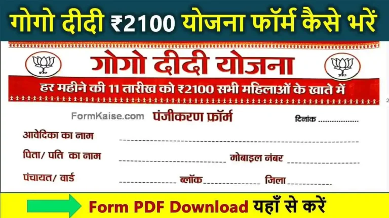 gogo didi yojana form pdf download