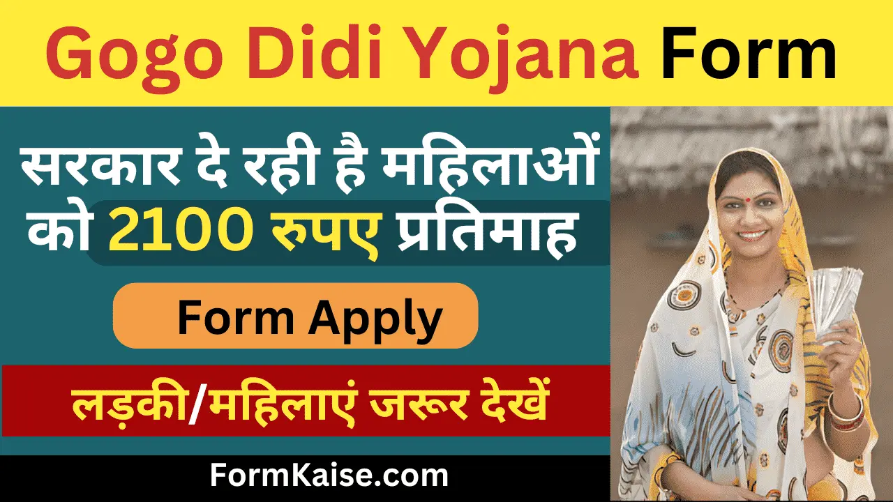 gogo didi yojana form pdf